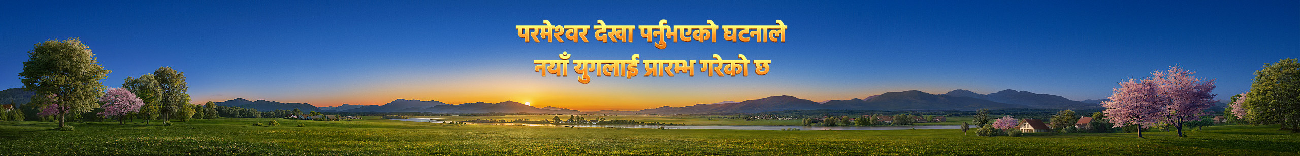 WB-关于我们Banner-初稿