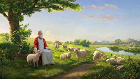 अय्यूबको विषयमा (भाग एक)