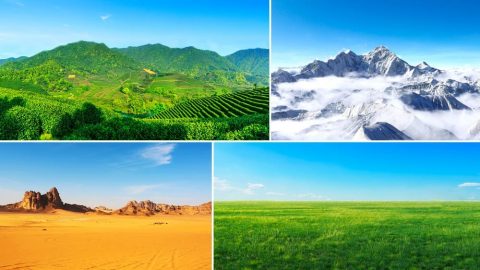 मानवजातिलाई जीवन-अस्तित्वको स्थिर वातावरण प्रदान गर्नको लागि परमेश्‍वरले यावत् थोकहरूबीचको सम्बन्धहरूलाई सन्तुलन गर्नुहुन्छ