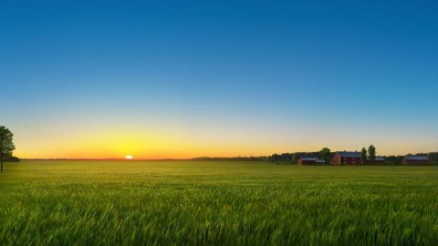 परमेश्‍वरले मानवजातिको जीवनको निम्ति सृष्टि गर्नुहुने आधारभूत वातावरण: ज्योति