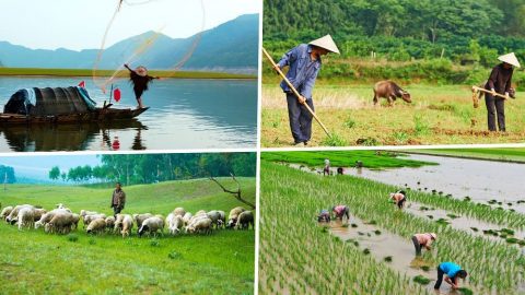 मानवजातिका विभिन्न किसिमका जीवनशैलीहरूको कारणले सीमाहरू पैदा भएका हुन्