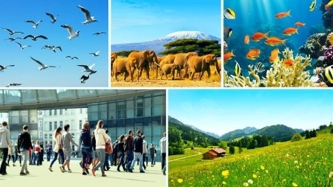 सबै थोक र जीवित प्राणीहरूमाथि सृष्टिकर्ताको नियन्त्रण र प्रभुत्व छ भन्‍ने तथ्यले सृष्टिकर्ताको अख्‍तियारको साँचो अस्तित्वको बारेमा बताउँछ