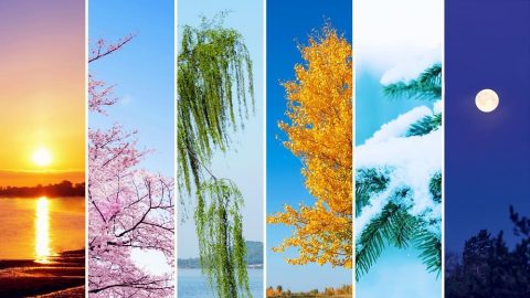 चौथो दिन, परमेश्‍वरले फेरि आफ्‍नो अख्तियार प्रयोग गर्नुहुन्छ र मानवजातिका ऋतु, दिन, र वर्षहरू अस्तित्वमा आउँछन्