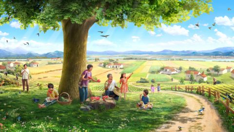 कथा १. एउटा बीउ, पृथ्वी, एउटा रुख, सूर्यको प्रकाश, चराहरू र मान्छे