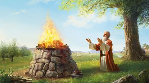 परमेश्‍वरद्वारा गरिएको र बाइबलमा भएको अय्यूबको मूल्याङ्कन