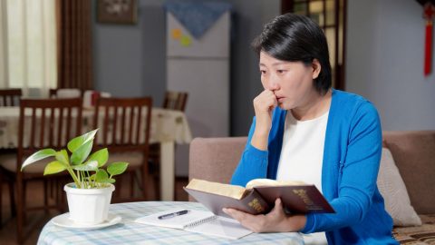 मकुन्डो उतार्दा