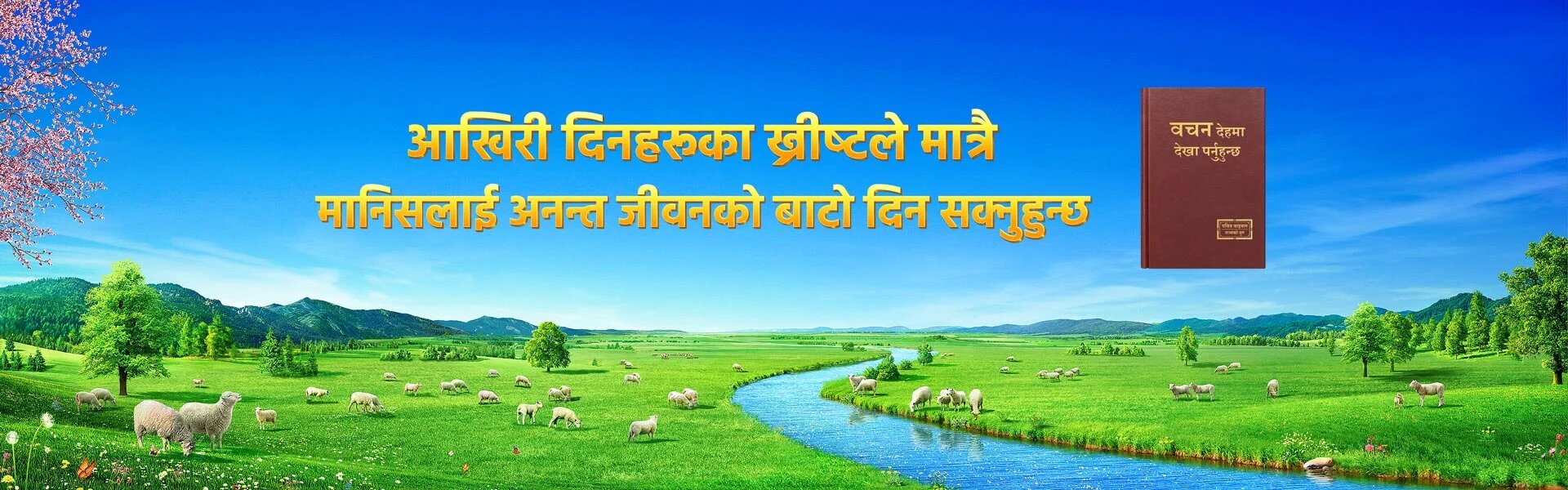 आखिरी दिनहरूका ख्रीष्‍टले मात्रै मानिसलाई अनन्त जीवनको बाटो दिन सक्‍नुहुन्छ